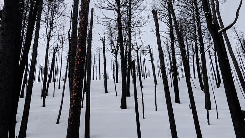 UK Wildfires Highlight Urgent Fire Safety and Regulatory Needs