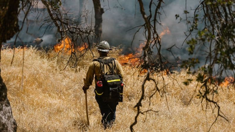 Wildfire Summit Calls for Sustained Investment in UK Fire Safety