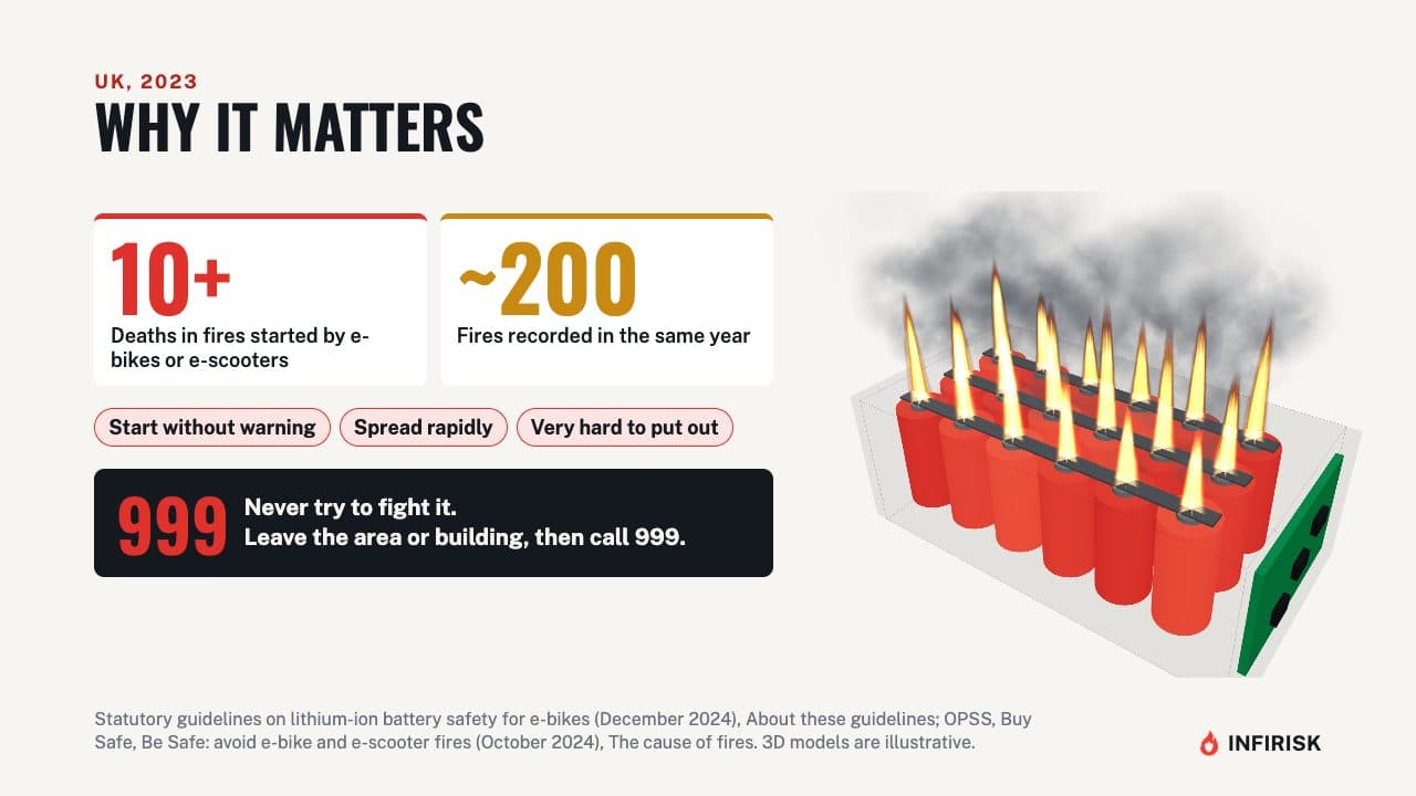 Why it matters: diagram from the INFIRISK video