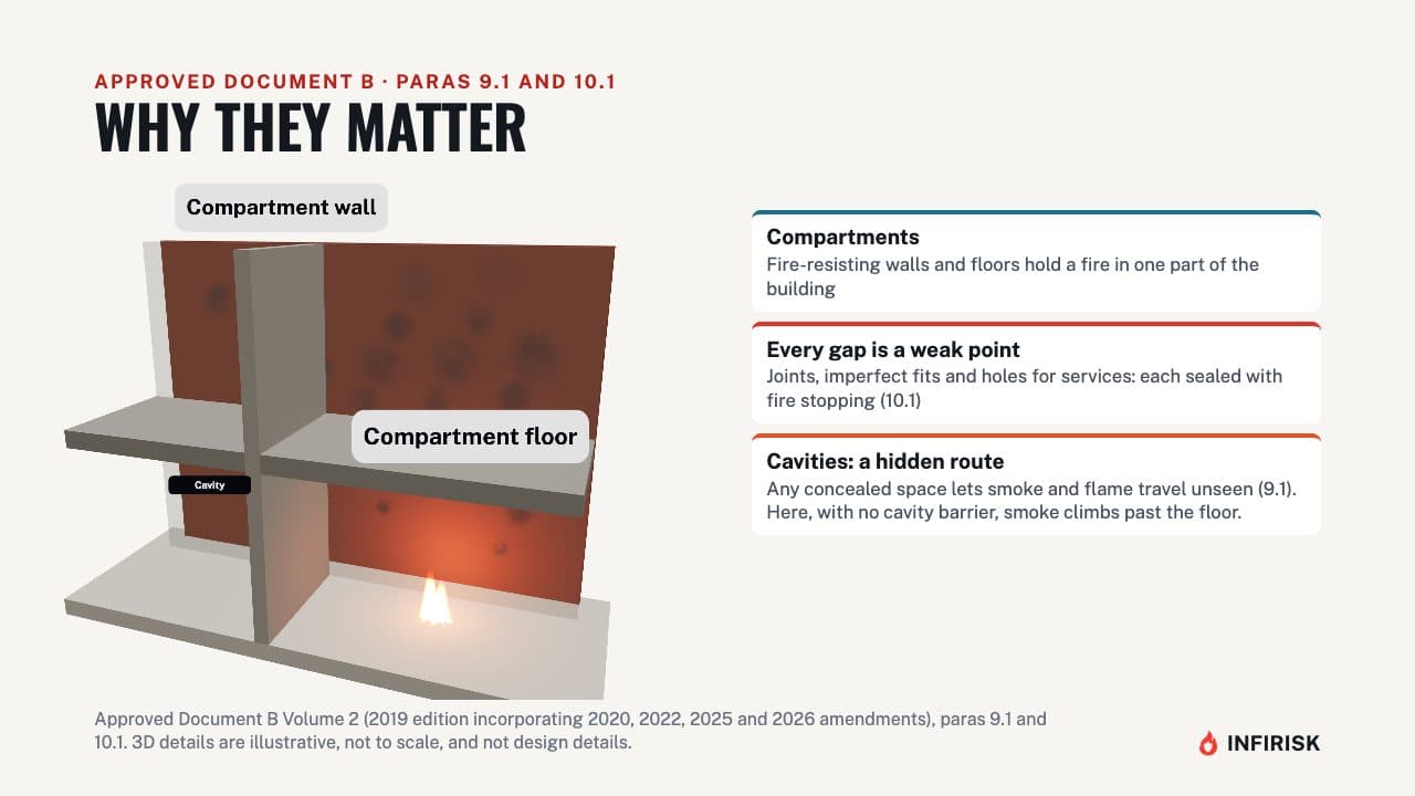 Why they matter: diagram from the INFIRISK video